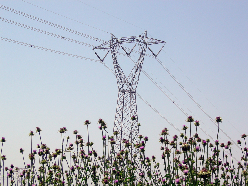 Forum Cesi 2016: infrastrutture critiche per monitorare il territorio