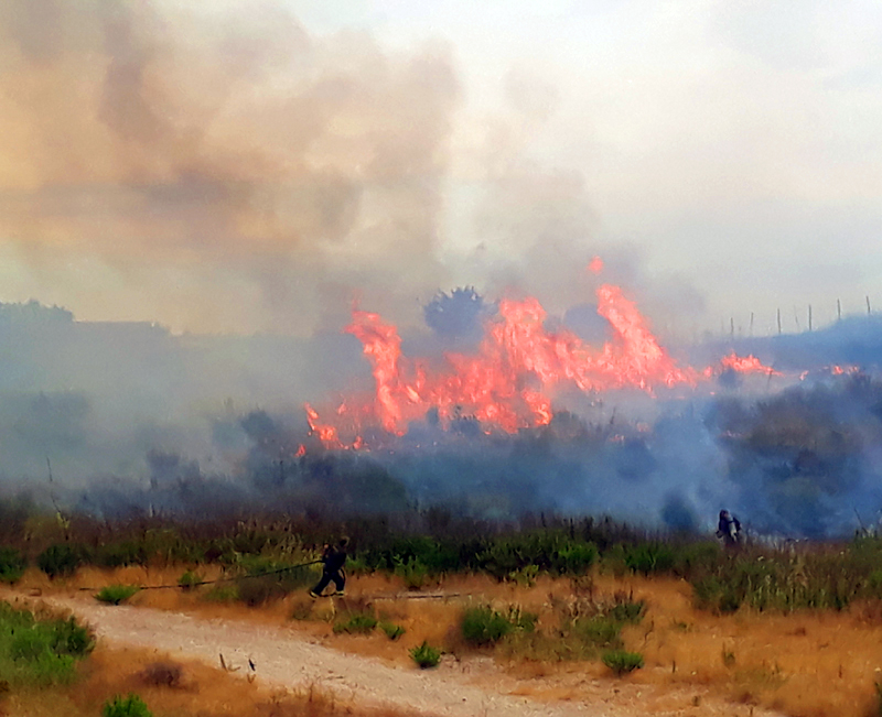 Melanoma, vigili del fuoco più esposti al rischio di ammalarsi